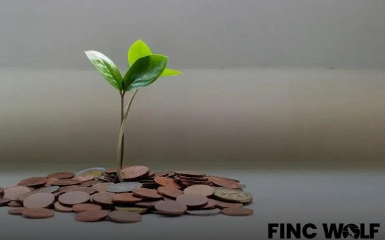 The Future of Digital Payments: What Lies Ahead?